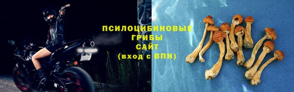 прущая мука Каменск-Шахтинский