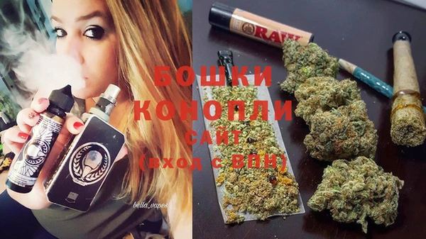 гидропоника Иннополис