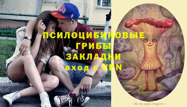 дурь Каменногорск